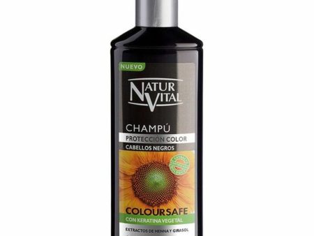 Colour Revitalizing Shampoo Naturaleza y Vida Champu Color (300 ml) 300 ml Sale